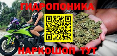 PSILOCYBIN Ачхой-Мартан