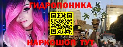 дмт Аша