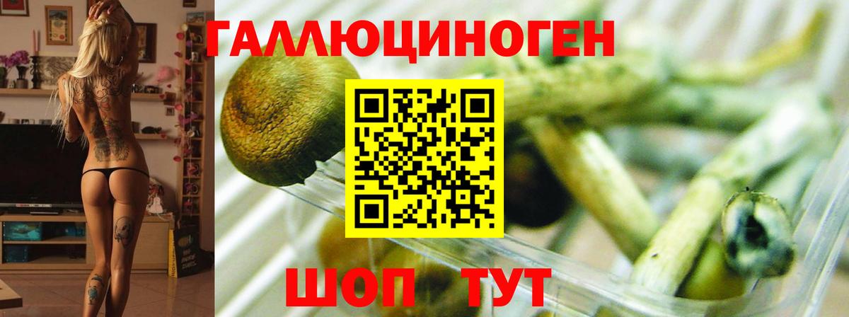 Галлюциногенные грибы ЛСД  Вход с VPN  Галлюциногенные грибы Psilocybe  Ачинск 